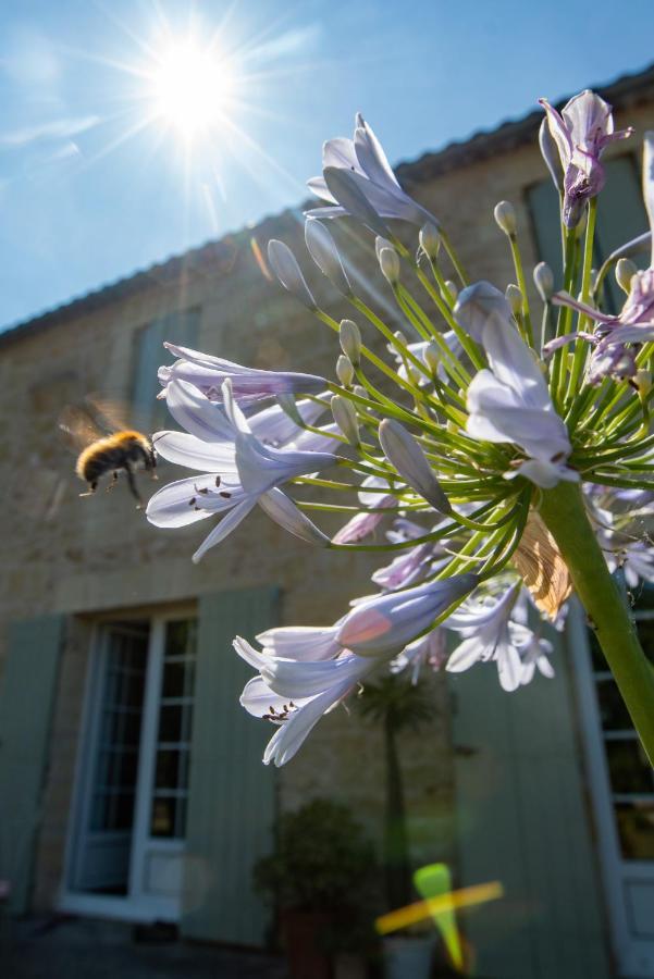 Gite Entre Bordeaux Et Saint-Emilion Génissac Exterior foto